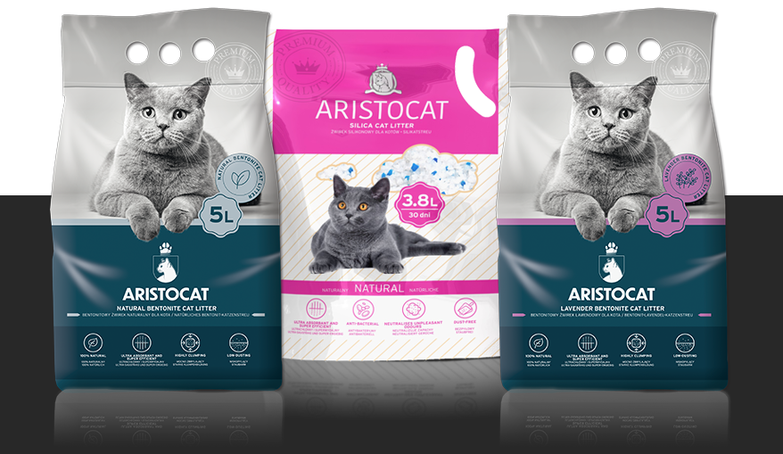 Aristocat